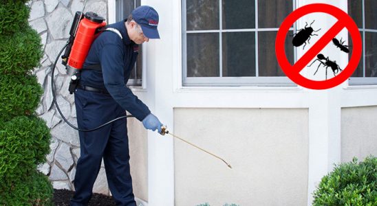 Doğanşar Kemirgen İlaçlama böcek ilaçlama ve haşere kontrolü — ilaclama-tr.com